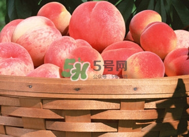 血桃多少錢(qián)一斤2017？血桃哪個(gè)品種最好吃