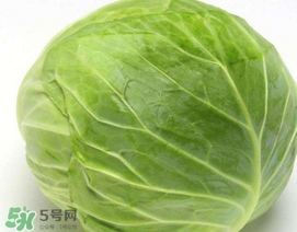 圓白菜是什么菜？圓白菜能生吃嗎？