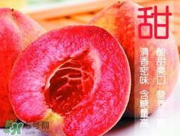 血桃?guī)自鲁墒?？血桃有什么營養(yǎng)價值