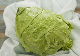 圓白菜是包菜嗎？圓白菜是大頭菜嗎？