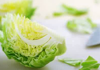 圓白菜怎么做好吃？圓白菜有什么功效
