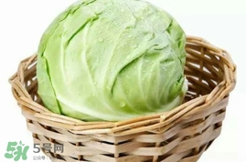 圓白菜是卷心菜嗎？圓白菜是不就是卷心菜