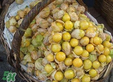 花姑娘水果怎么吃？花姑娘水果吃之前要洗嗎？