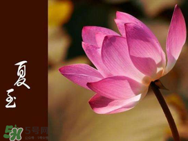 2017年夏至?xí)掠陠幔肯闹料掠暧惺裁凑f法？