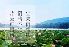 夏至是入伏嗎？夏至后多久入伏？