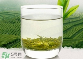 如何鑒別信陽(yáng)毛尖好壞？信陽(yáng)毛尖品鑒十步法