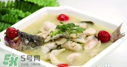 海鱸魚多少錢一斤2017？淡水鱸魚多少錢一斤？