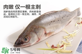 鱸魚是海鮮嗎？鱸魚是不是海鮮？