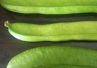 刀豆是四季豆嗎？刀豆和四季豆的區(qū)別