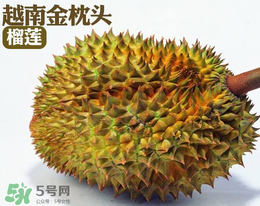 紅心榴蓮多少錢一斤？紅心榴蓮為什么這么貴？