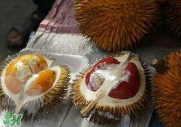 紅心榴蓮多少錢一斤？紅心榴蓮為什么這么貴？