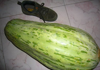 菜瓜怎么炒好吃？菜瓜怎么做好吃