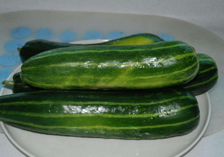 菜瓜是西葫蘆嗎？菜瓜是什么菜