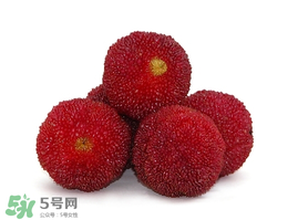 吃完楊梅不能吃什么？吃完楊梅可以吃別的水果嗎？