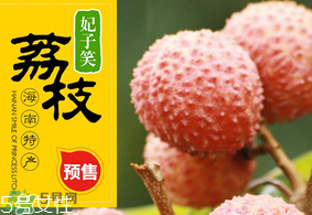 妃子笑荔枝多少錢一斤？2017妃子笑荔枝價(jià)格