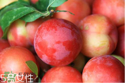 ?楊梅和李子能一起吃嗎？楊梅和李子一起吃會(huì)中毒嗎？