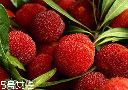 ?楊梅和李子能一起吃嗎？楊梅和李子一起吃會(huì)中毒嗎？