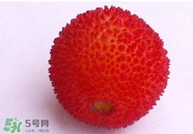 楊梅籽可以吃嗎？吃楊梅籽有什么好處？