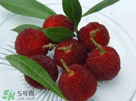 楊梅籽可以吃嗎？吃楊梅籽有什么好處？