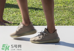 adidas yeezy 350 boost v2 dark green椰子350大地綠多少錢？