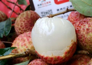 白糖罌荔枝怎樣保果的？白糖罌荔枝和白蠟的區(qū)別