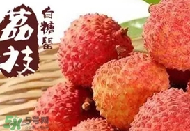 白糖罌荔枝多少錢一斤2017？白糖罌荔枝價格