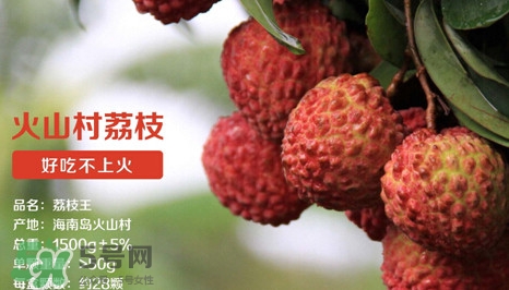 荔枝王是什么品種？荔枝王多少錢一斤2017？