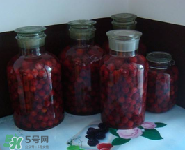 泡楊梅酒用什么瓶子？楊梅酒可以用塑料瓶泡嗎？
