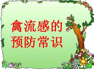 6月有禽流感嗎？2017年6月有禽流感嗎？