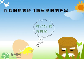 6月有禽流感嗎？2017年6月有禽流感嗎？