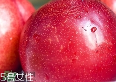 桃駁李是轉(zhuǎn)基因嗎？桃駁李是不是轉(zhuǎn)基因