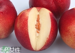 桃駁李是油桃嗎？桃駁李和油桃的區(qū)別