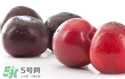 紅布林和黑布林哪個(gè)好？紅布林與黑布林的區(qū)別