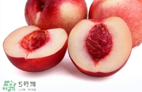 桃駁李是油桃嗎？桃駁李和油桃的區(qū)別