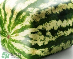 方形西瓜是如何種出來的？方形西瓜是怎么長成的