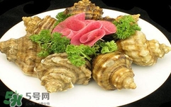 海螺是蒸還是煮？海螺的尾部是黃還是屎