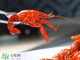 潛江小龍蝦有什么特色？潛江龍蝦節(jié)是每年什么時(shí)候？ 