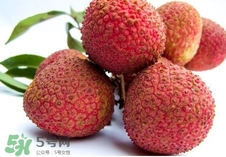 黑葉荔枝和妃子笑哪個(gè)好吃？黑葉荔枝和妃子笑的區(qū)別