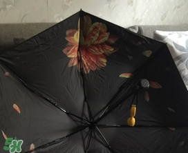 蕉下小黑傘能遮雨嗎？蕉下太陽(yáng)傘能淋雨嗎？