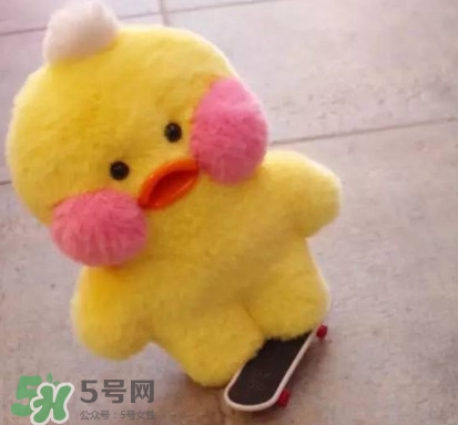玻尿酸鴨哪里可以買(mǎi)到？一個(gè)玻尿酸鴨多少錢(qián)？