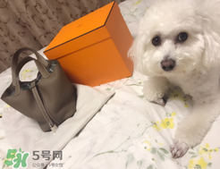 菜籃子包是什么牌子？菜籃子包是哪個品牌的？