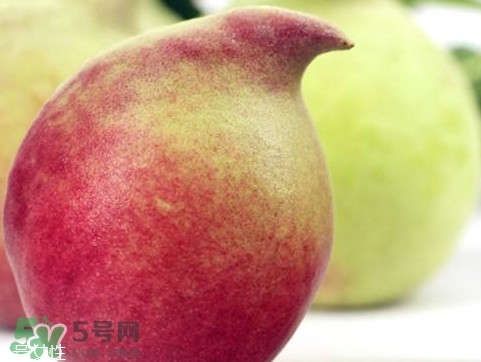 鷹嘴桃種植應(yīng)注意哪些？鷹嘴桃什么時間修剪