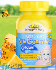 Nature's Way好嗎 Nature's Way保健品怎么樣？