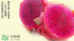 如何識(shí)別紅心火龍果？紅心火龍果怎么分辨