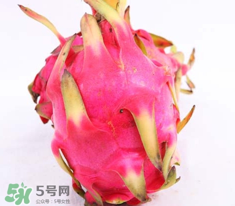 火龍果怎么保存時間長？切開的火龍果怎么保存