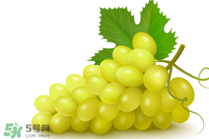 葡萄多少錢(qián)一斤？葡萄多少錢(qián)一斤2017？