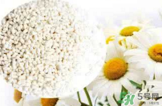 菊花晶是熱性還是涼性？菊花晶嬰兒可以喝嗎？