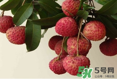糯米糍荔枝多少錢一斤2017？糯米糍荔枝市場價格