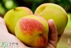 九仙桃什么時候成熟？九仙桃什么時候上市