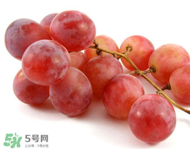 提子上的白色是什么？提子外面白色的是什么？